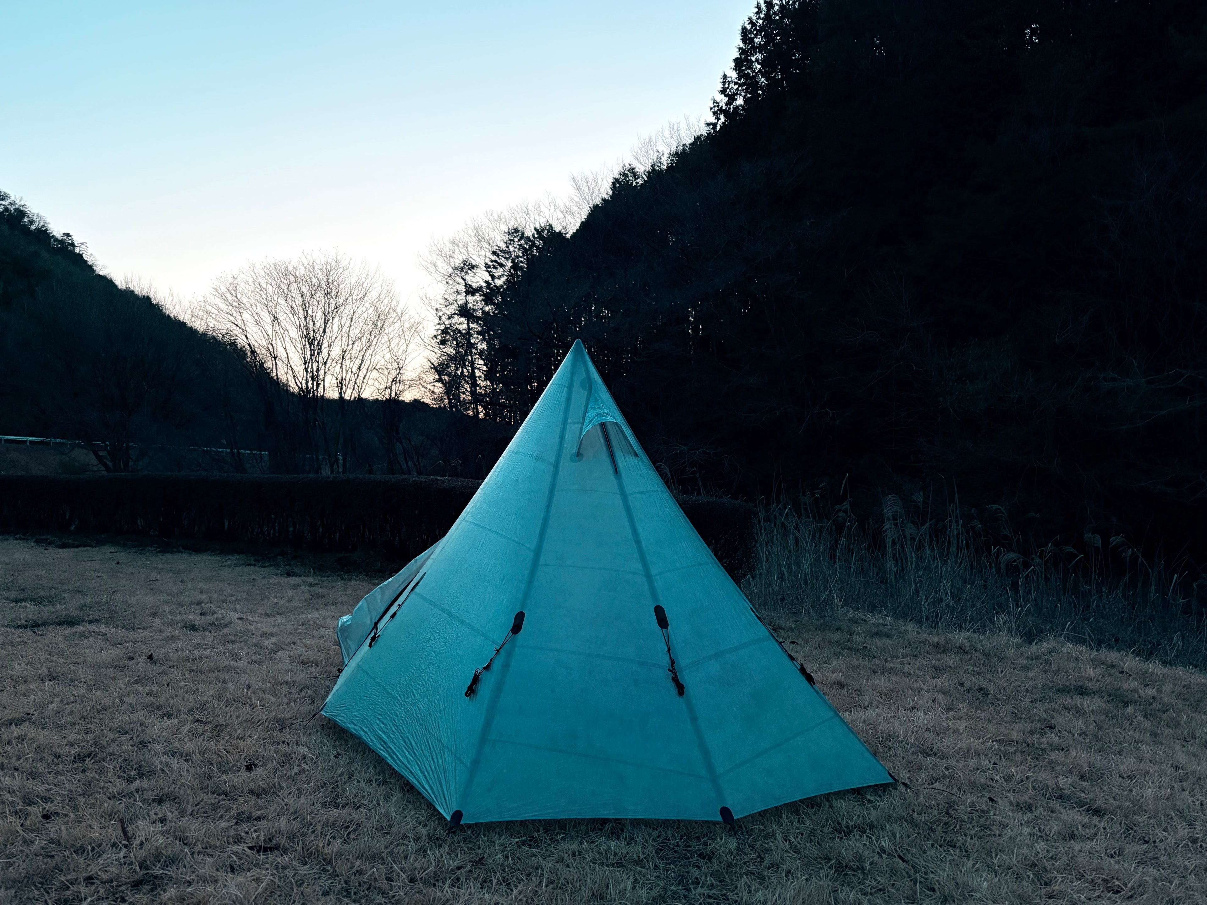 BUPRESTID 2.5