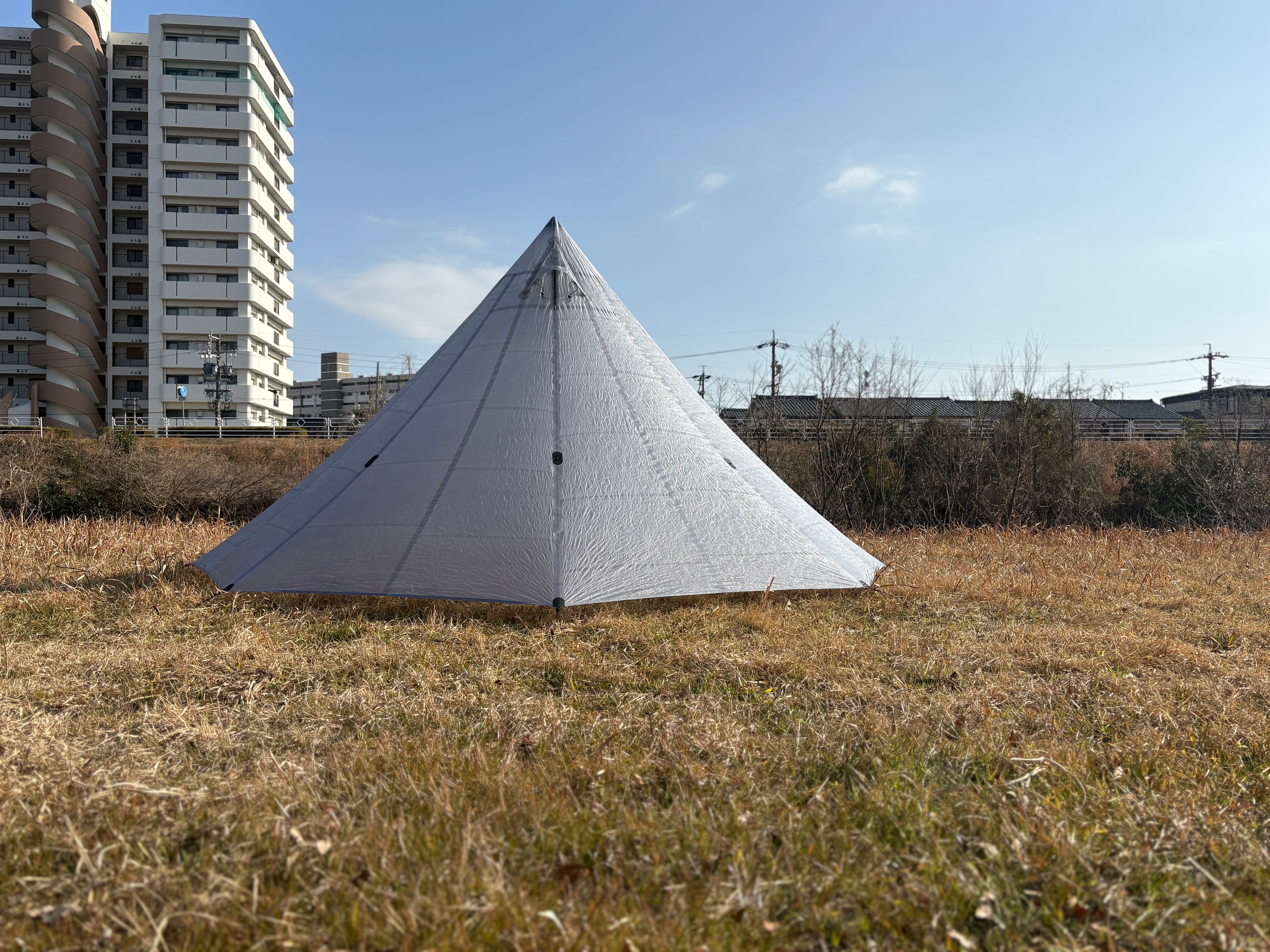 BUPRESTID 4.5